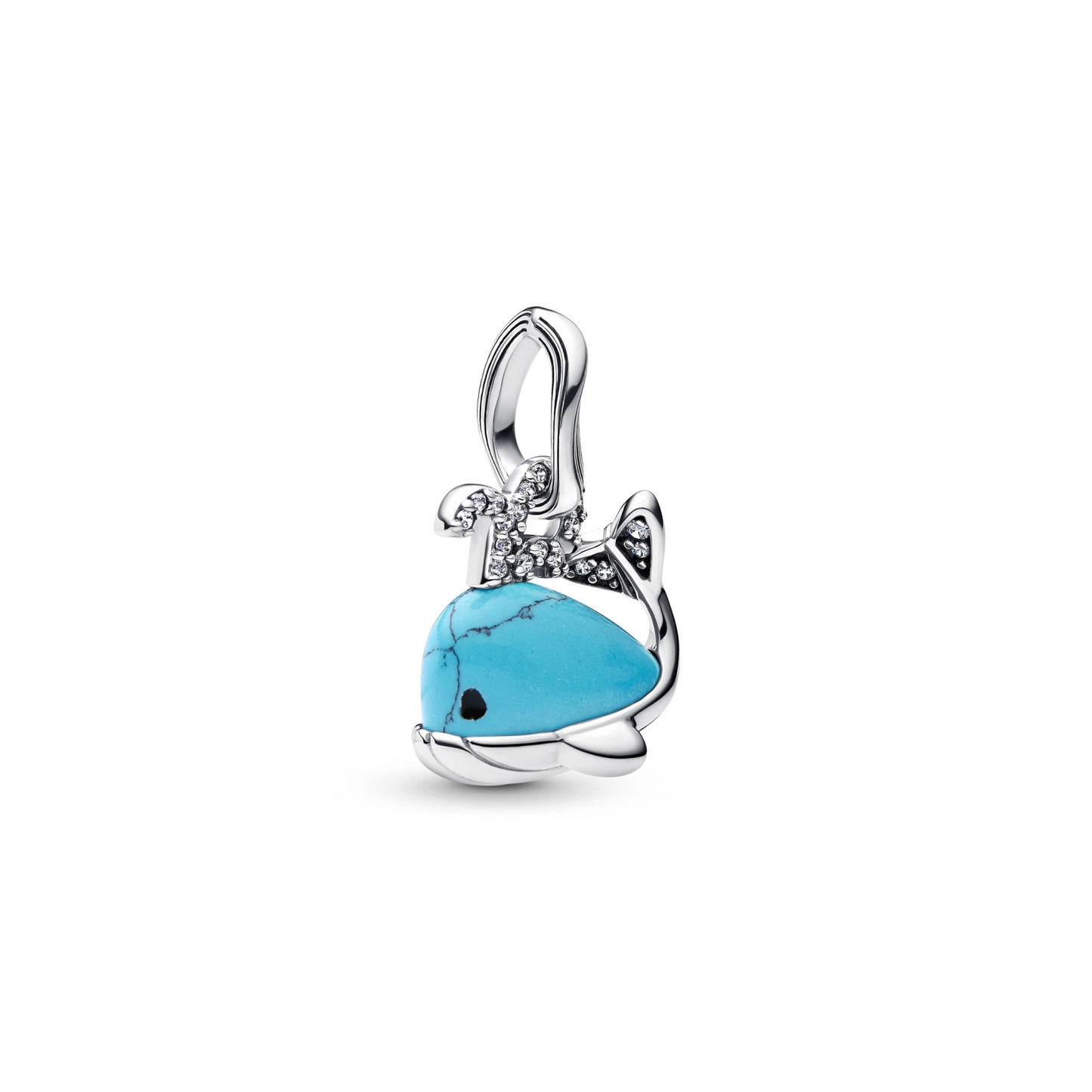 Turquoise Walvis Hangende Bedel