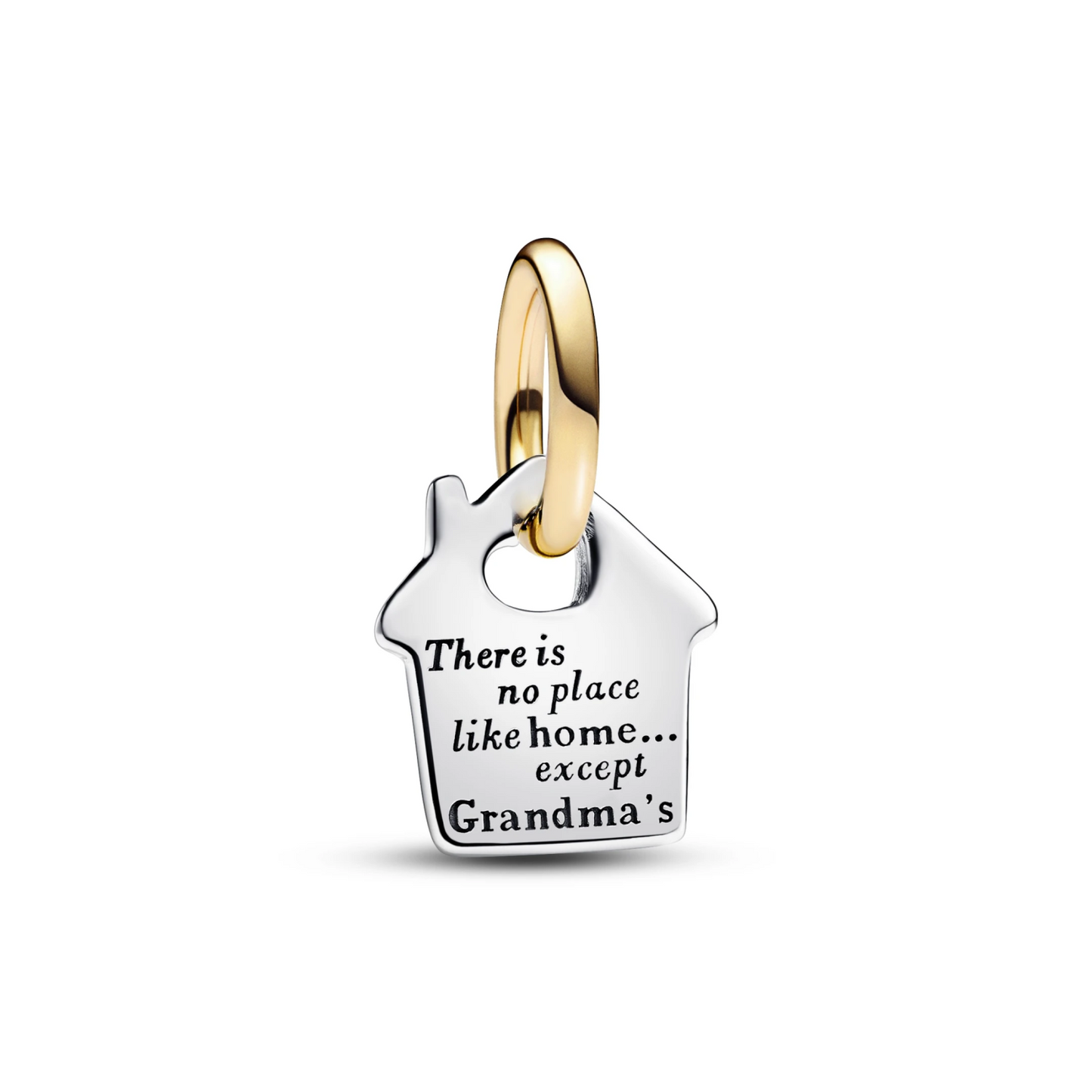 Tweekleurige Grandma's House hangende bedel